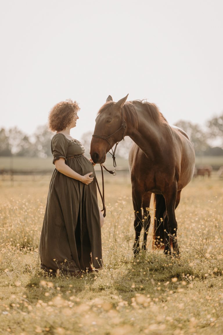 seance femme enceinte cheval lusitanien - 29
