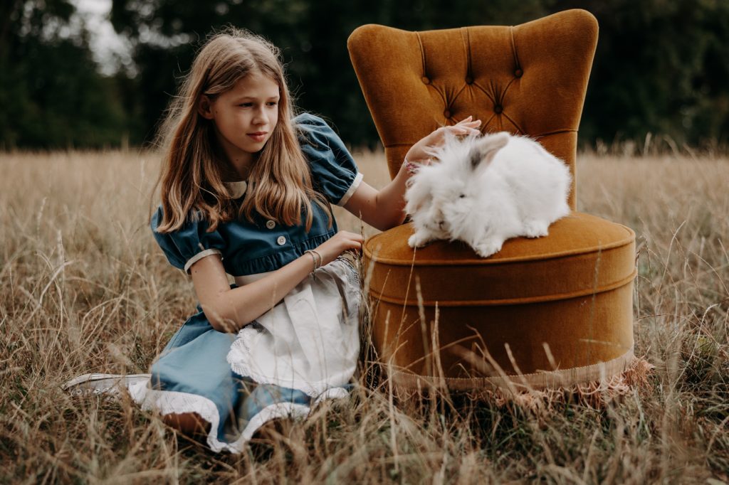 lapin shooting alice au pays des merveilles