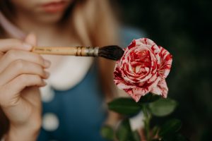 rose peinte alice pays merveilles, shooting photo