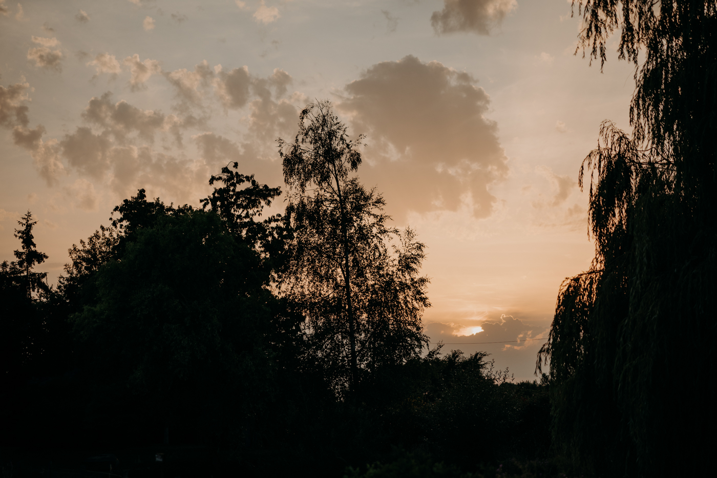Repas, mariage, relais de l'oudon - 97